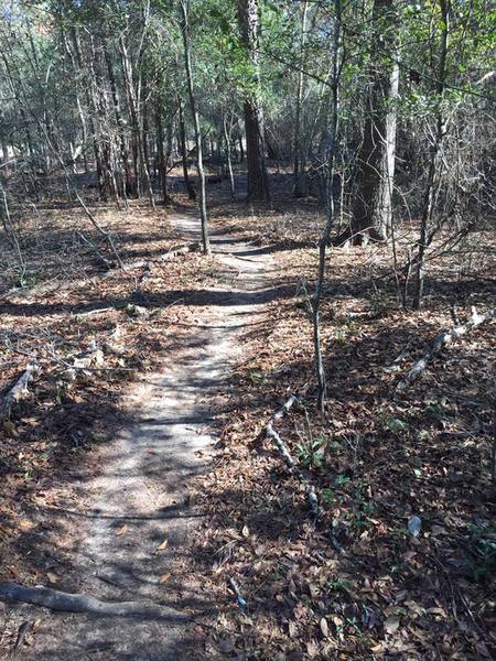 Upland trail at Chehaw Park