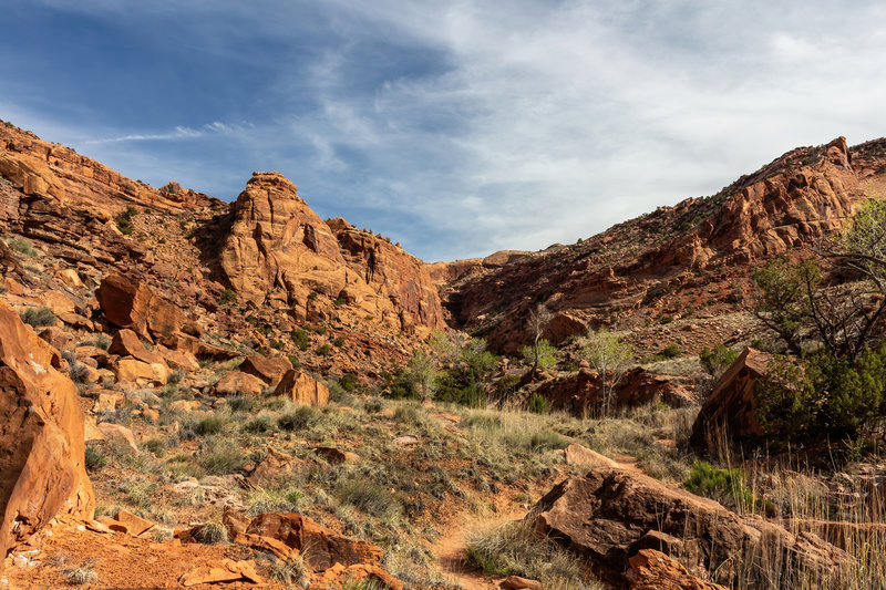 The trail up the side canyon southwest of Upheaval Dome