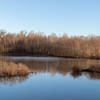 The main body of water at the end of the trail.