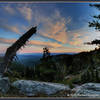 From our camp on the West side of Sardine Gulch, where tent site spots were very small.