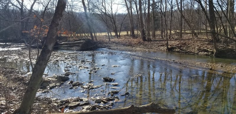 Tributary on Big Sugar trail.