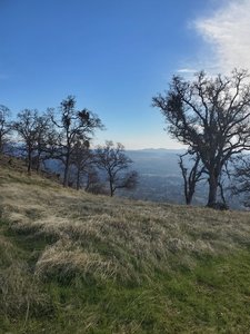 Trail pic