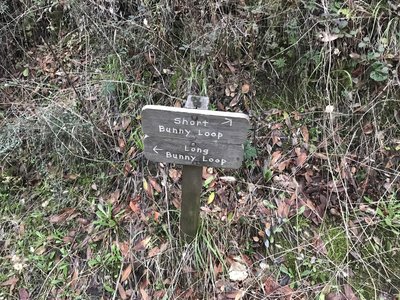 Long Bunny Loop ascends further and is .7 mile longer.