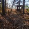 Viewing hut at the end of the trail