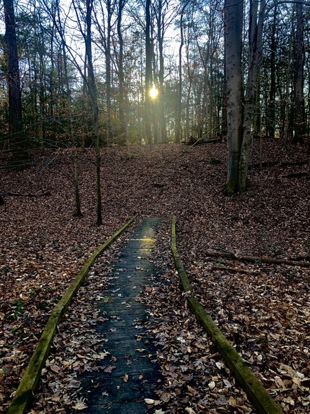 One of the many boardwalks along the trail