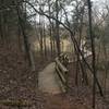 Going down the staircase on Moss Rock Trace.