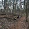 Looking back from the staircase. This is what most of the trail will look like.