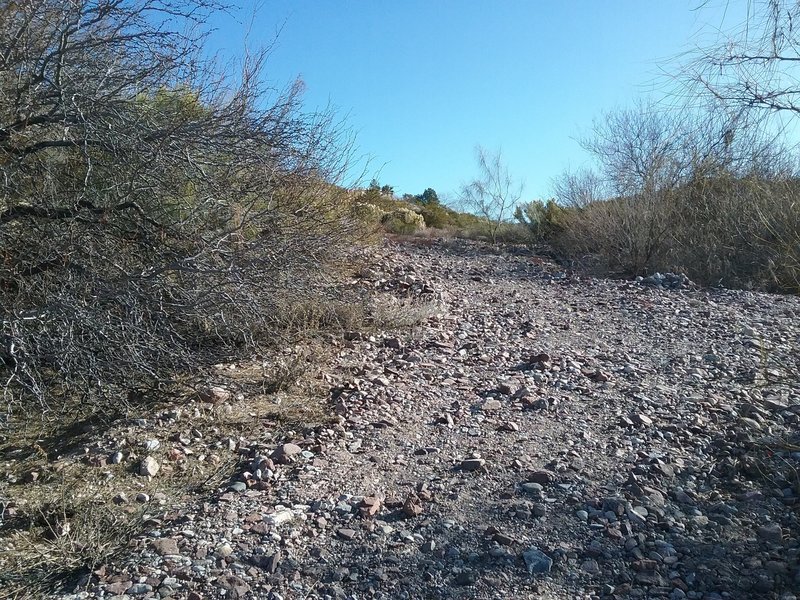 Looking north on the trail.