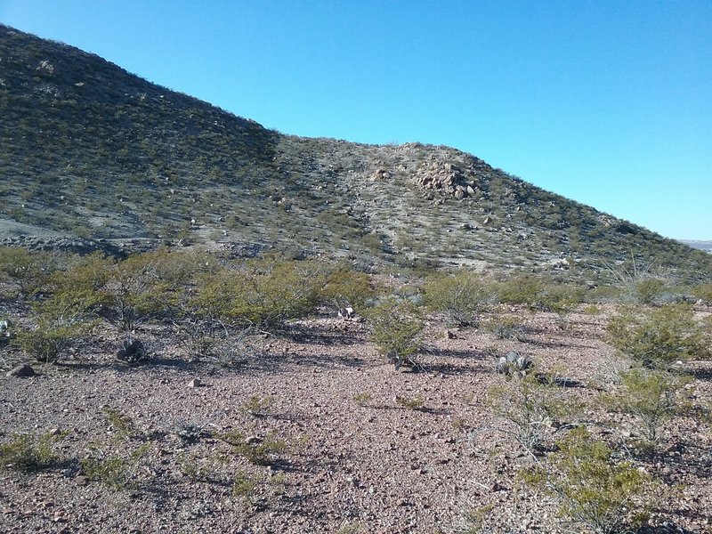 Looking North on the trail.