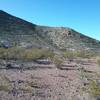 Looking North on the trail.