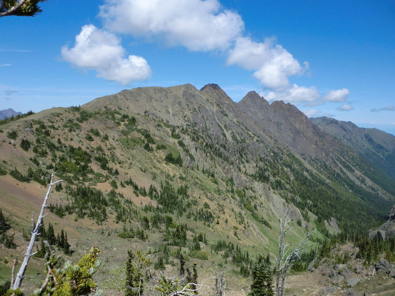 Buckhorn Mountain, from south side of the Pass.