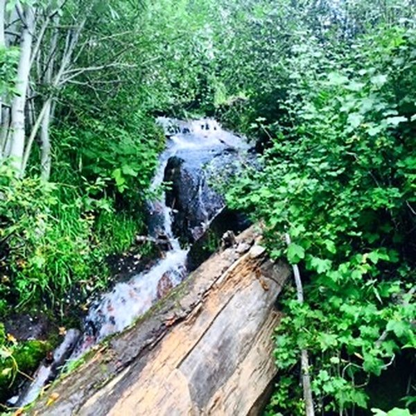 Small waterfall along the trail