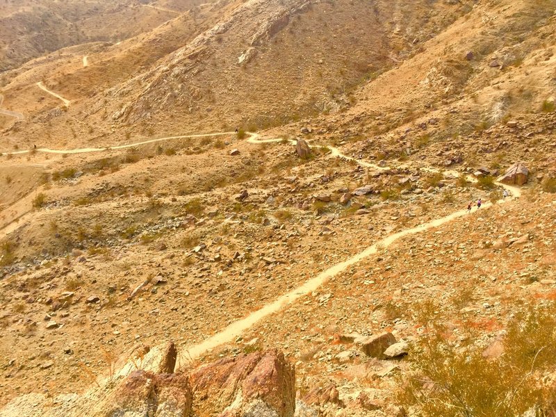 A view down to the Mike Shuler trail