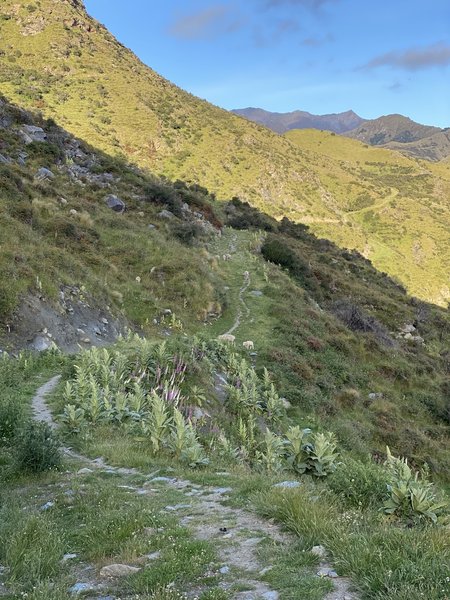 The northern end of the Moonlight Track