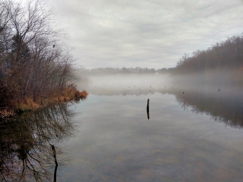 Foggy Lake Mercer on a warm, January day.