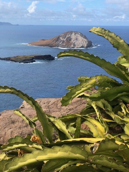 Kāohikaipu Island State Seabird Sanctuary in view