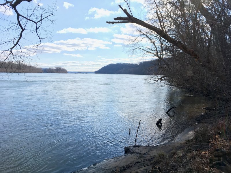 A view of the river from the greenway trail in susquehanna park