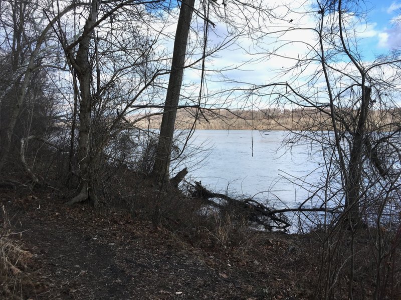 A view of the river from the greenway trail in susquehanna park.