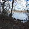 A view of the river from the greenway trail in susquehanna park.