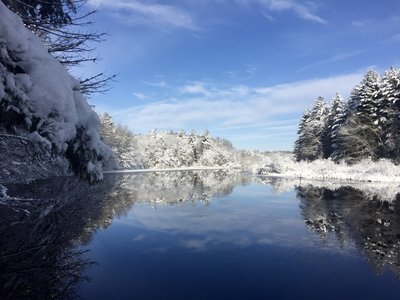 Salmon Falls River from Scotland Trail.