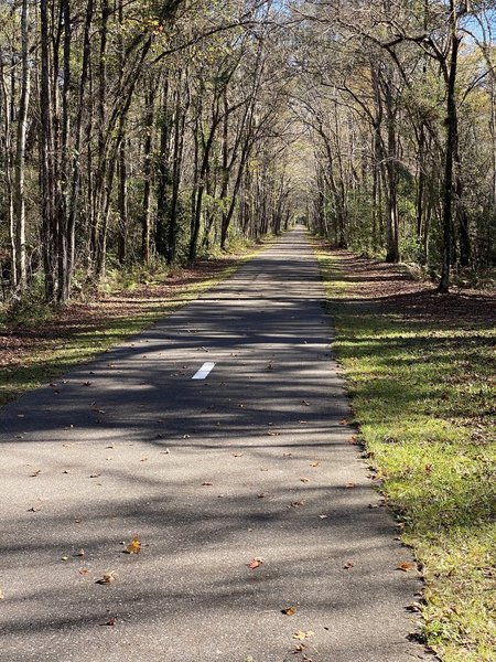 Rail trail near Camp Milton entrance.