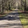 Rail trail near Camp Milton entrance.