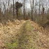 Typical part of eastern Old Mill Trail near southern trailhead.