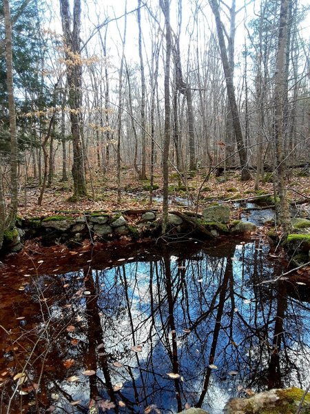 Crossing over the brook on a fair day in January