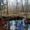 Crossing over the brook on a fair day in January