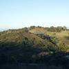 Close to the top of the trail, you can look across the canyon and see Fremont Older Open Space Preserve and the trails that run along the ridge line.