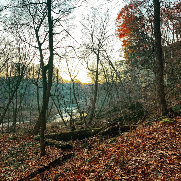 Looking south of Wildcat Den State Park trail