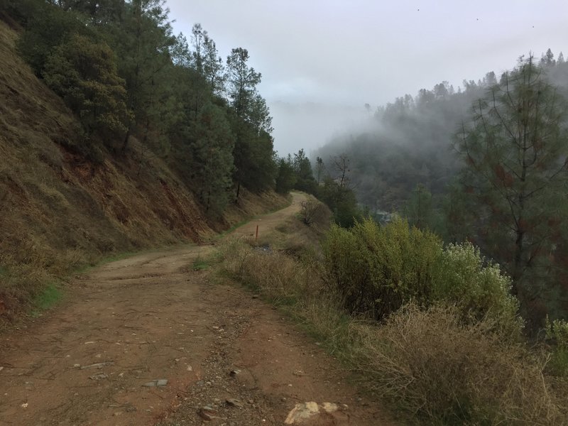 A trail winds into the fog.