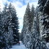 Going west on the McLoughlin Nordic Trail