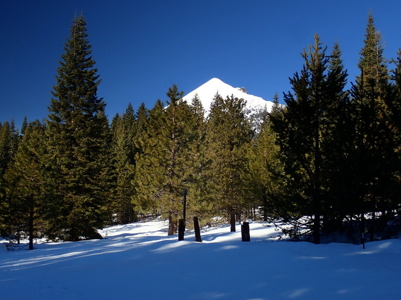 Mount McLoughlin from the Pitt View Trail