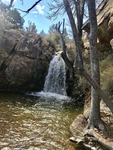Waterfall in early spring