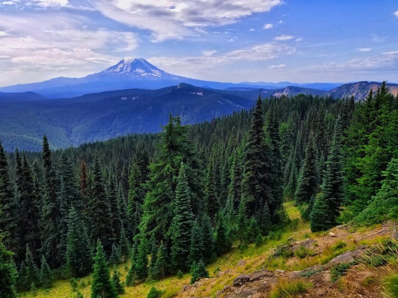 View from Nannie Peak's Spur Trail.