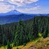 View from Nannie Peak's Spur Trail.