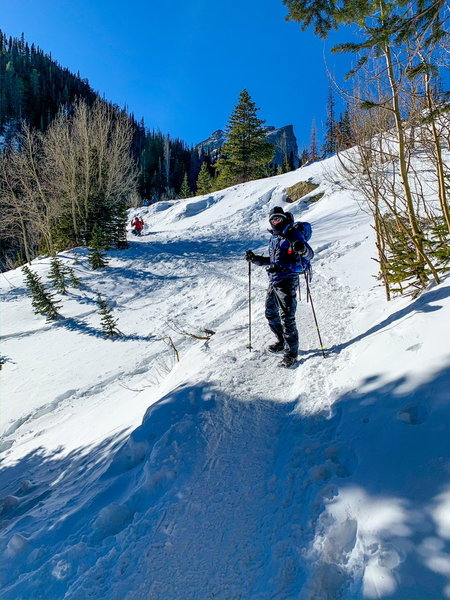 Along the Emerald Lake Trail, December 30, 2019.