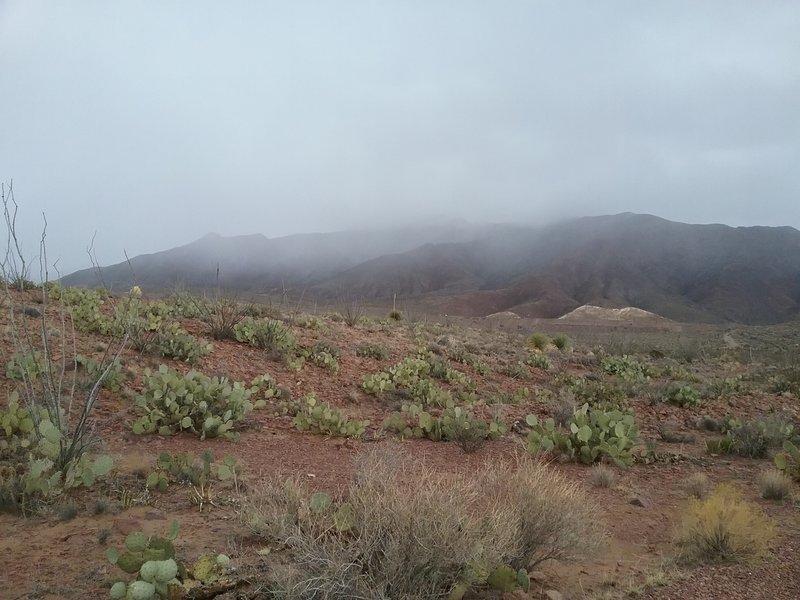 The trail during a light rain storm