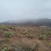 The trail during a light rain storm