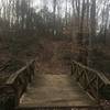 Bridge and steep hill on Trail 7