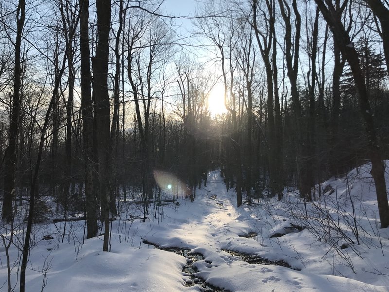 A snowy morning path.