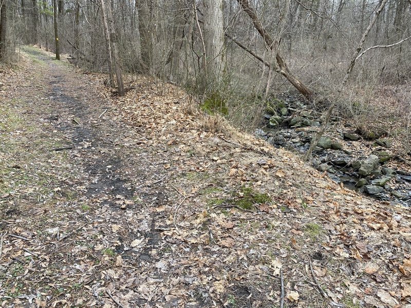 Stream beside the trail