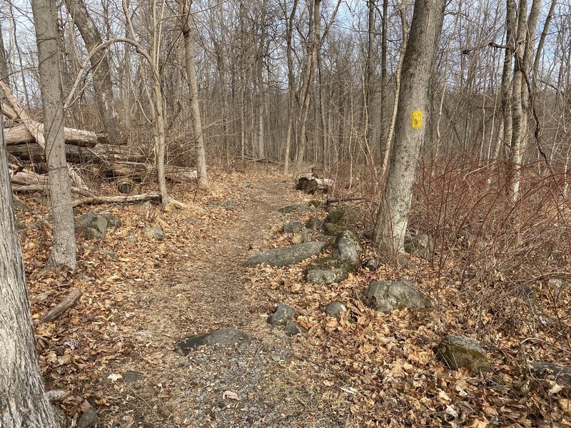 Heading toward High Bridge