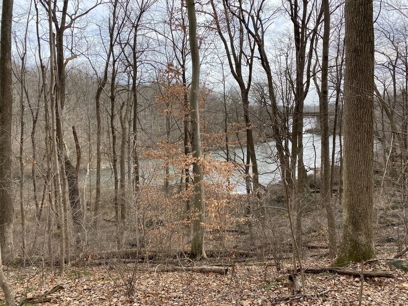 Tohickon Creek from High Bridge Trail