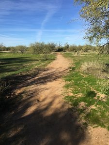 Winter desert