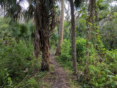 Hiking on the Black Bear Wilderness Trail
