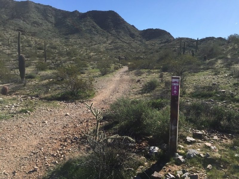 Trail marker