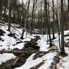 Quarry Trail follows a stream for a brief period