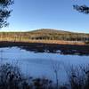 A view of Trask Swamp from the blue trail